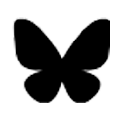 bluesky icon